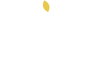 Zero Limits Consulting S.r.l.